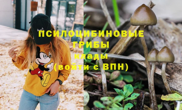 ALPHA PVP Невьянск