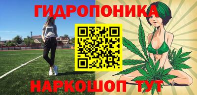 первитин Гусев