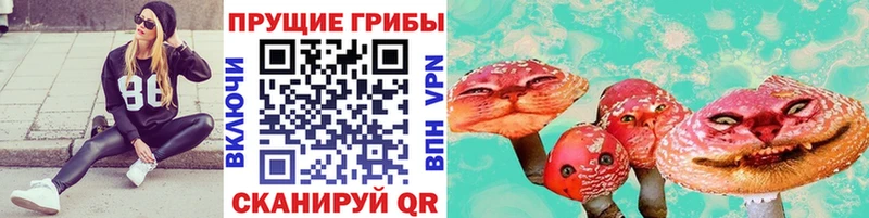 Галлюциногенные грибы прущие грибы  Мелеуз 