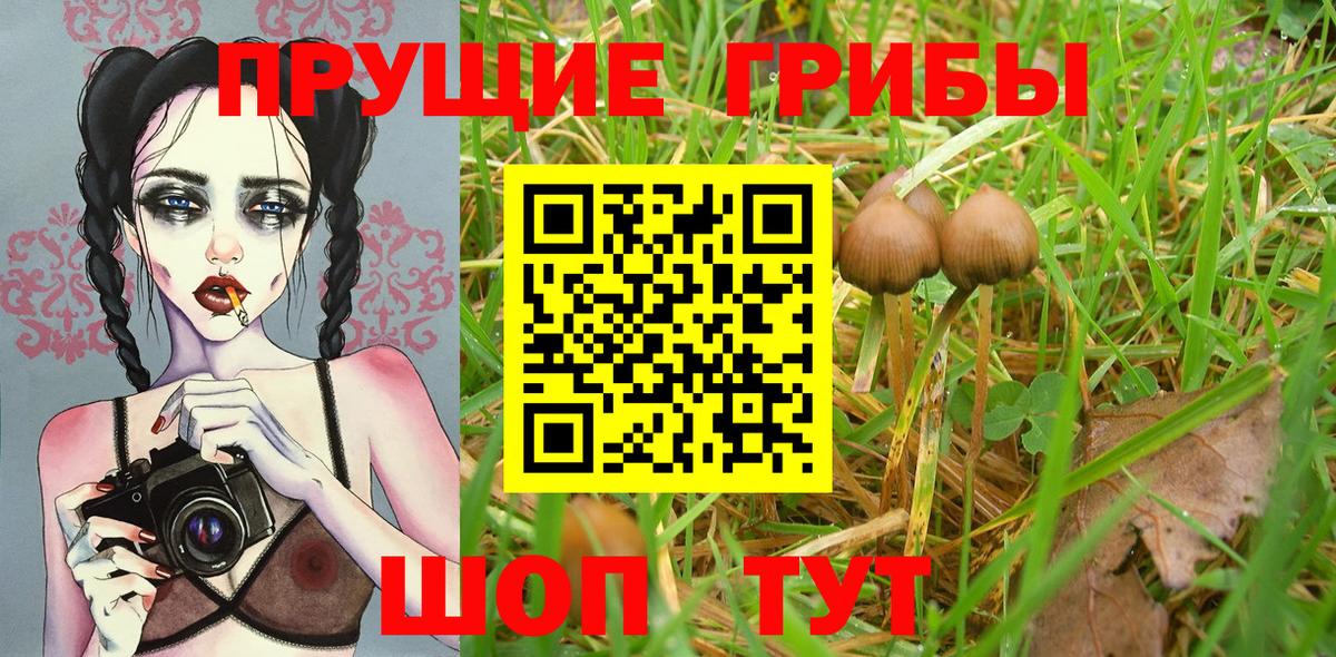 Галлюциногенные грибы ЛСД Мелеуз