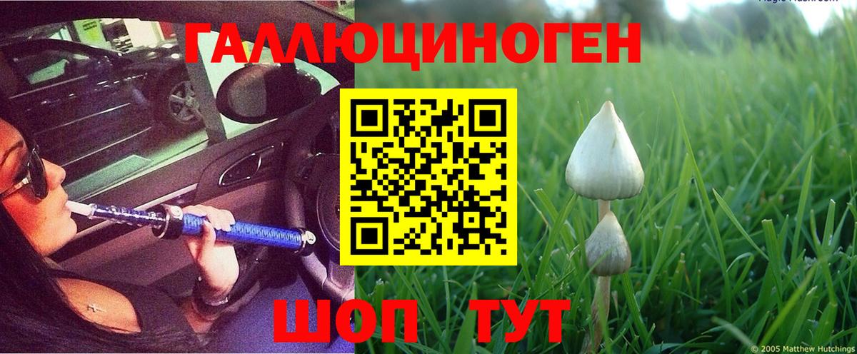 где продают наркотики  Псилоцибиновые грибы прущие грибы  Вход с VPN  Мелеуз 