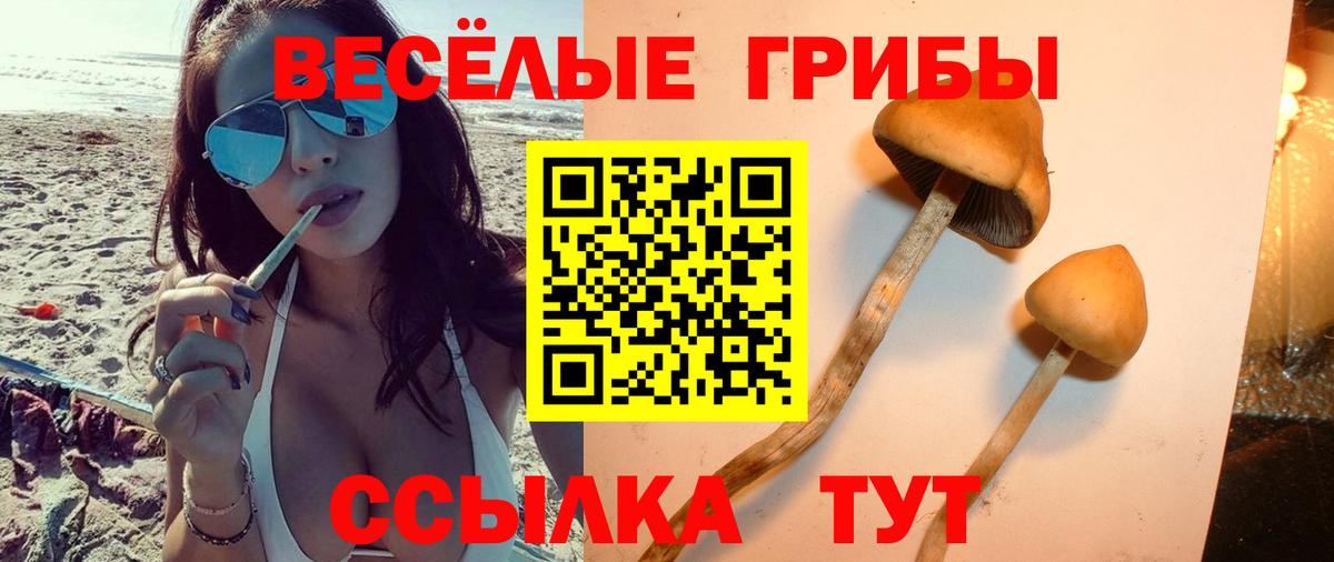 Лсд 25  Гашиш  Каннабис  Вход с VPN  Мелеуз  Меф кристаллы 